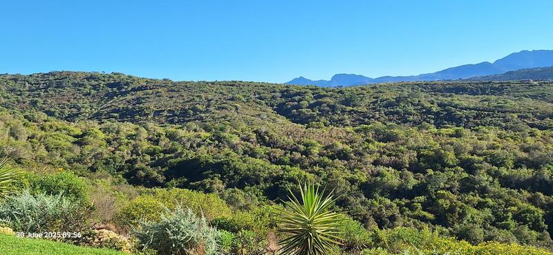 0 Bedroom Property for Sale in Groot Brakrivier Central Western Cape